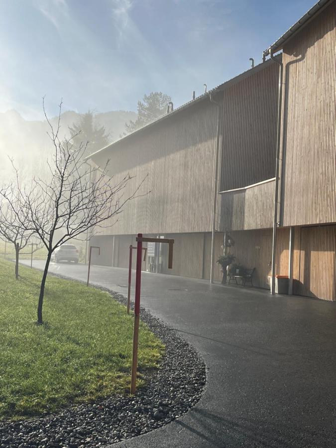Bergluft Apartment Mellau Exteriér fotografie